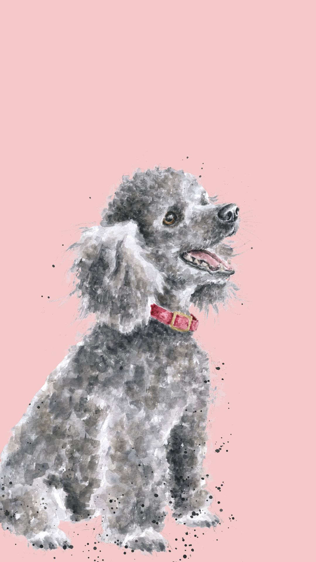 Poodle Phone Wallpaper