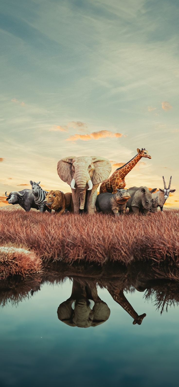 animal wallpaper for iPhone in 2023