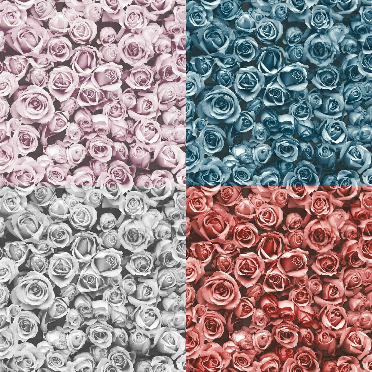 Small Red Blue Grey Pink Roses Floral