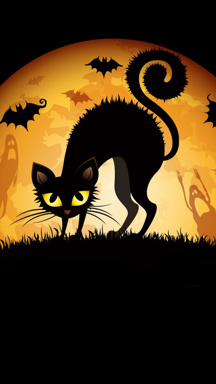 Frightened Cat With Bats 42