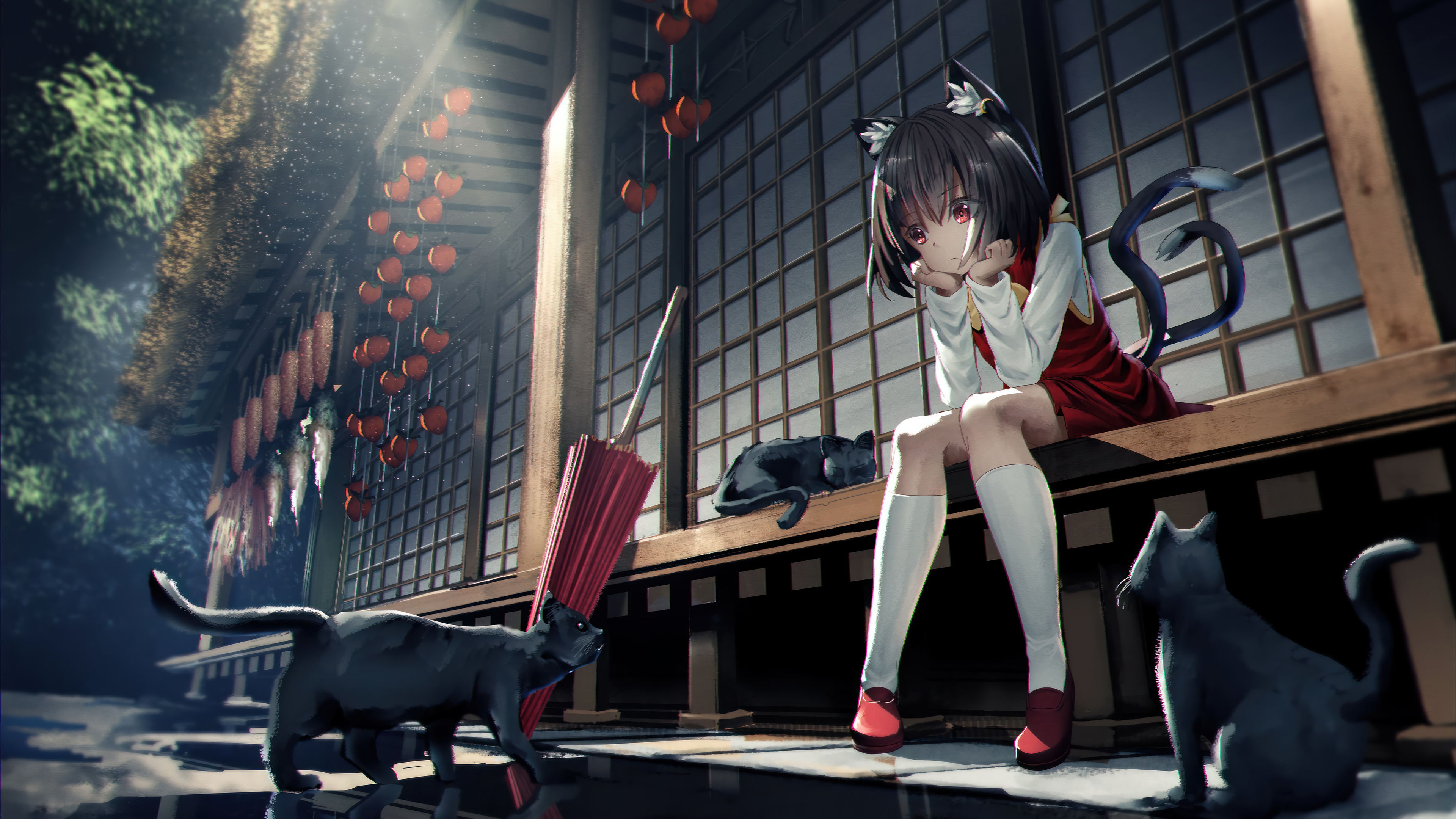 Anime Cat Girl Black Cat Wallpaper 4K