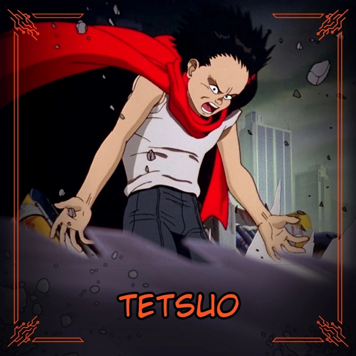 Facts About Tetsuo Shima Akira