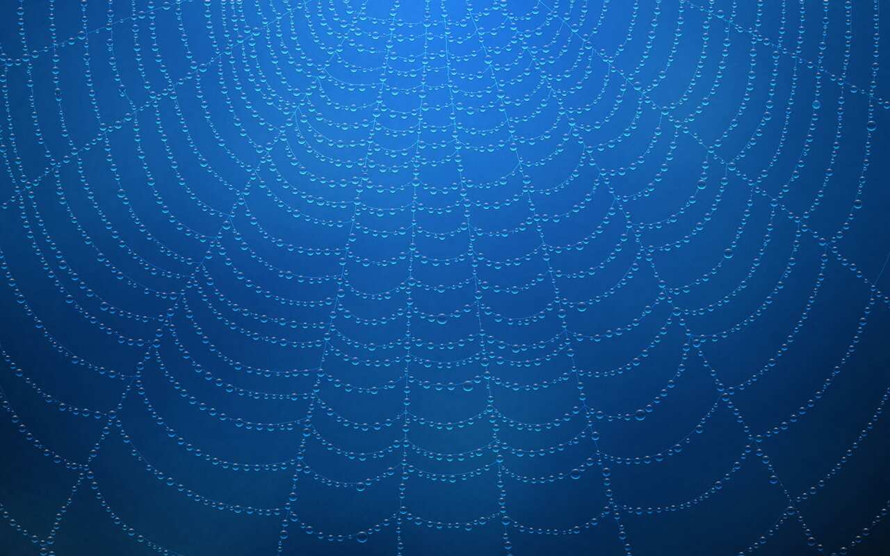 Water drops on a spider web Blue