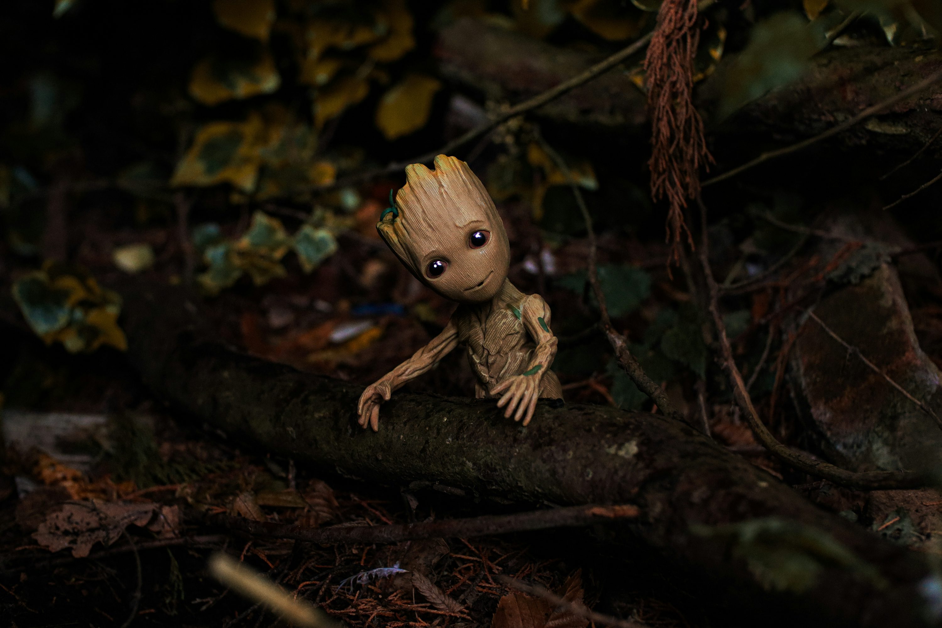 Groot Picture. Download Free Image