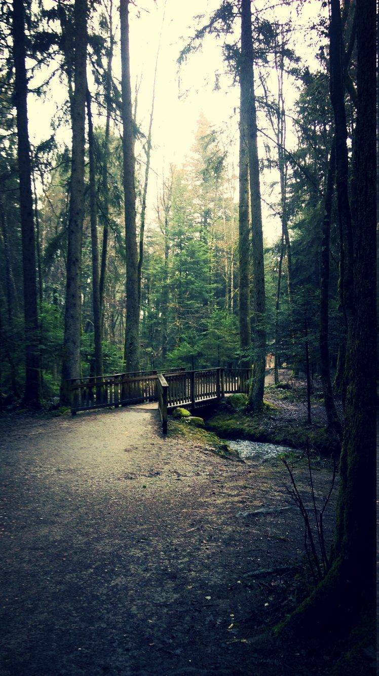 Peaceful HD Wallpaper