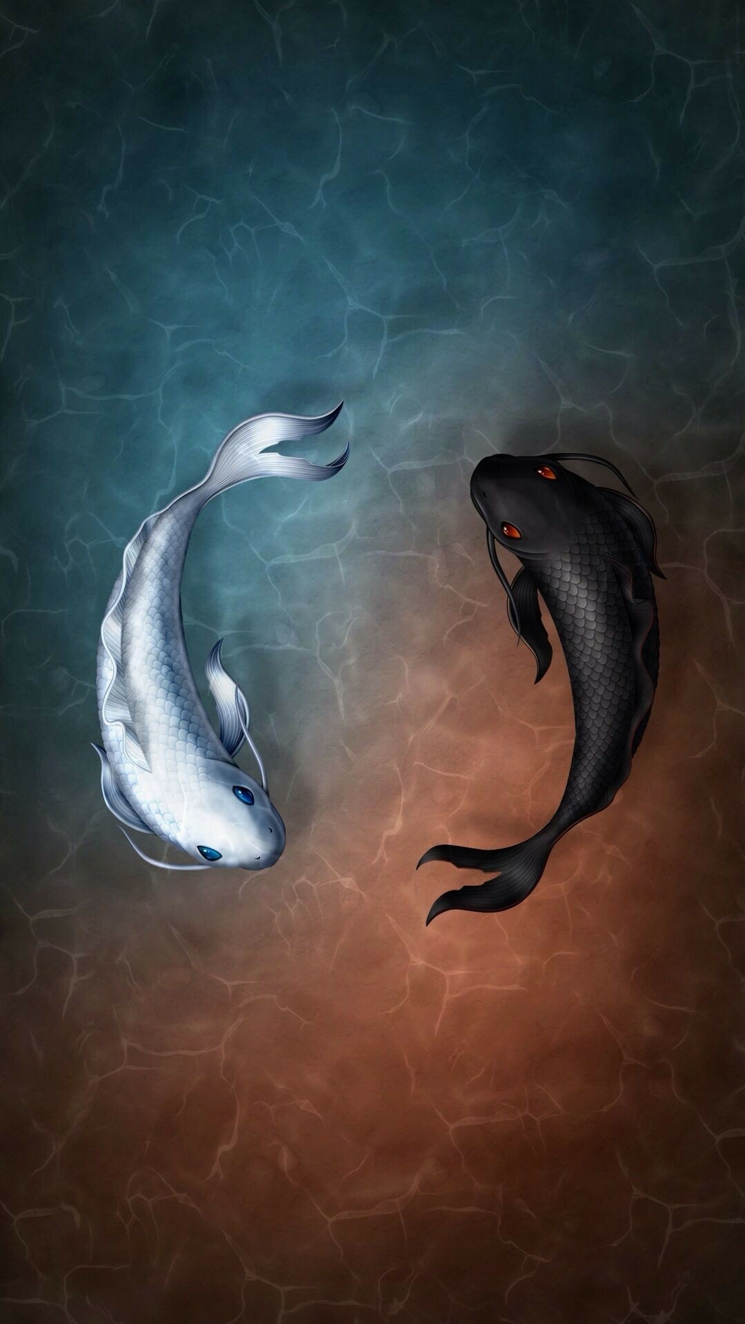 Fish Wallpaper
