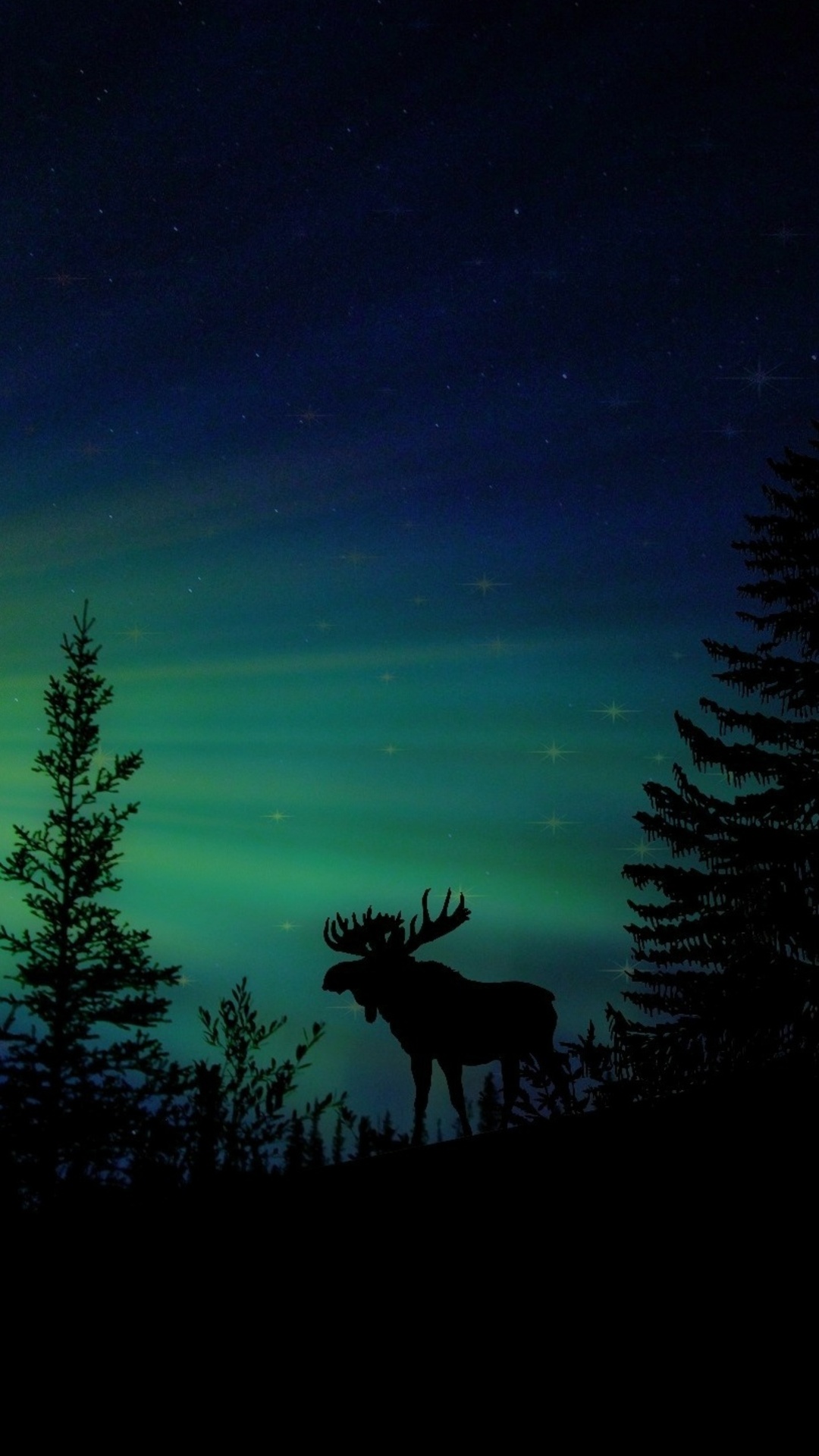 Moose Forest Animal Dawn