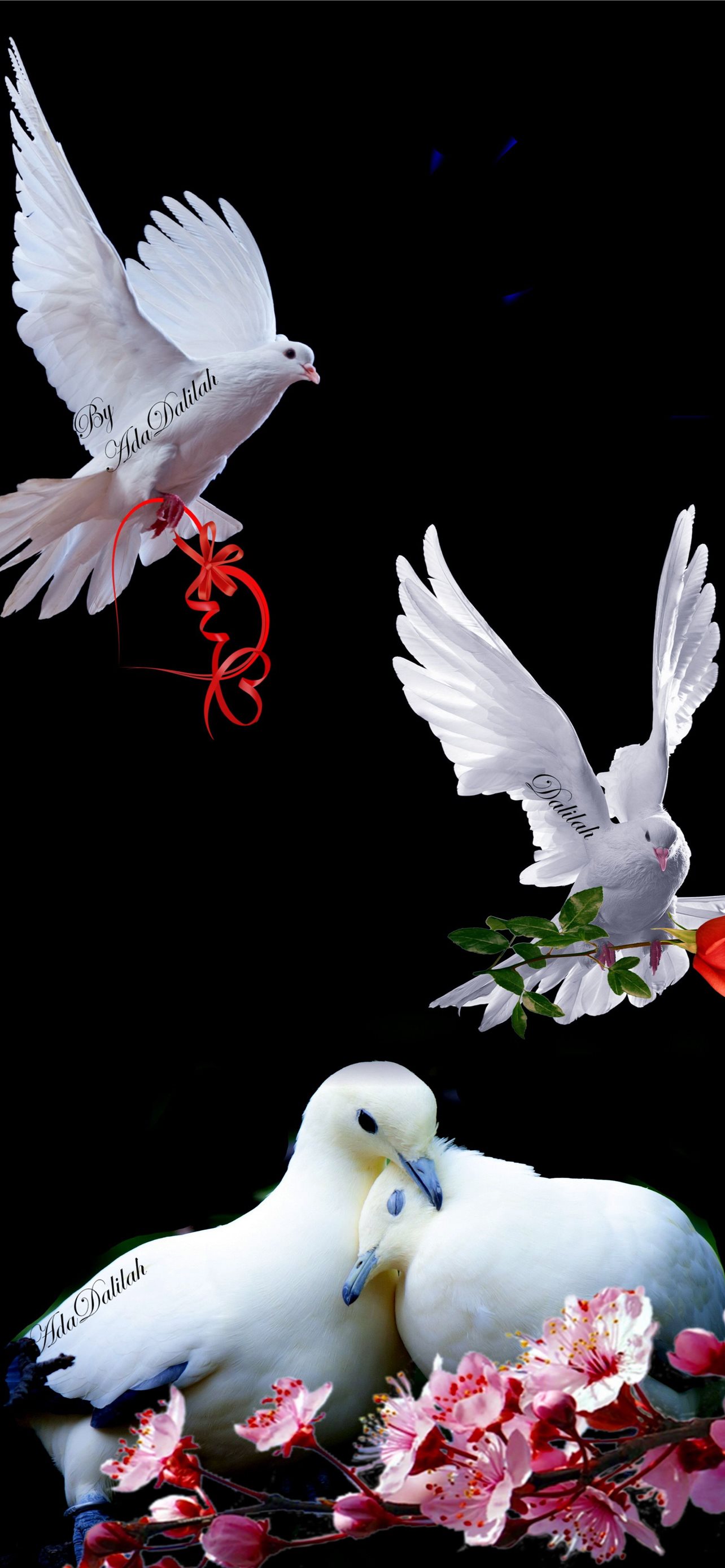 Best Dove iPhone HD Wallpaper