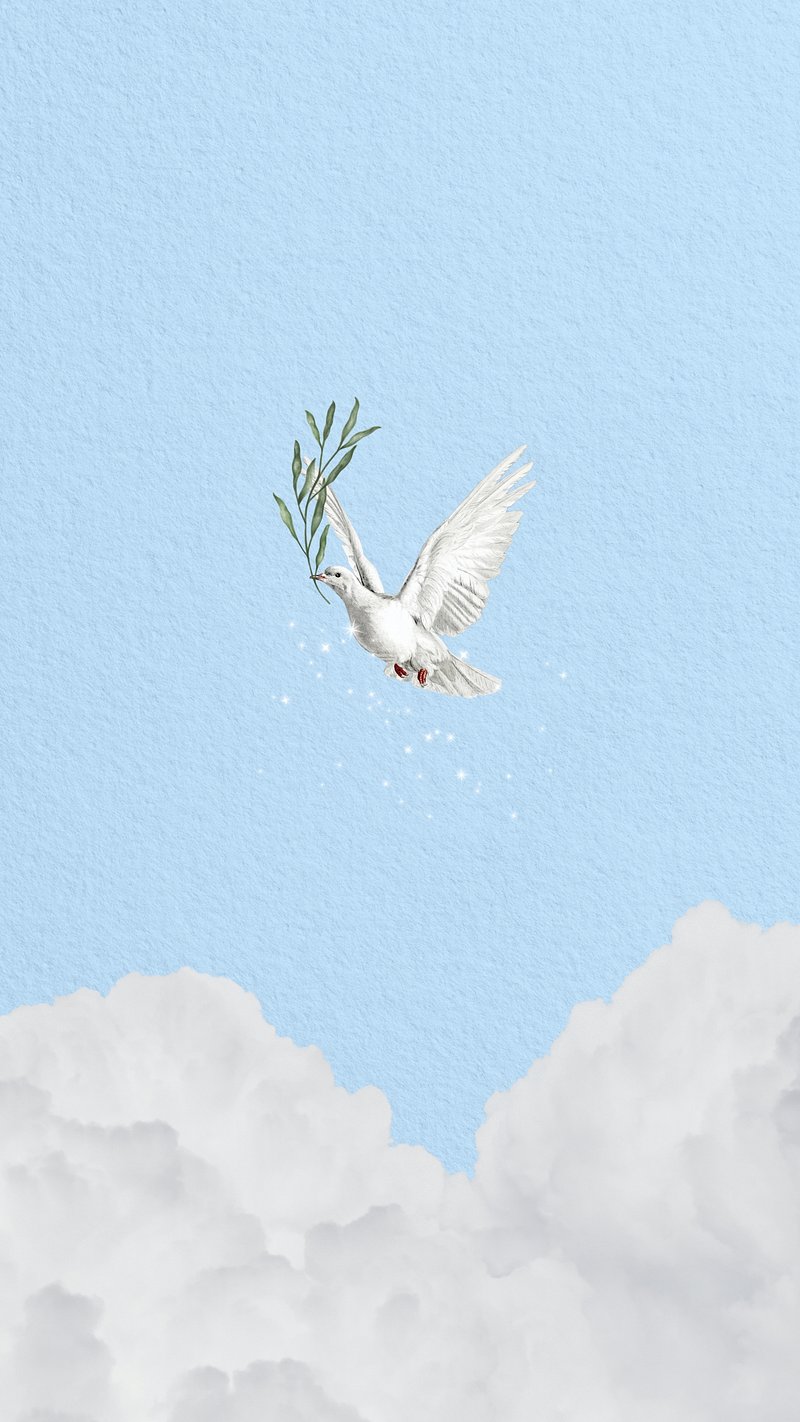 Peace Dove Image. Free Photo, PNG