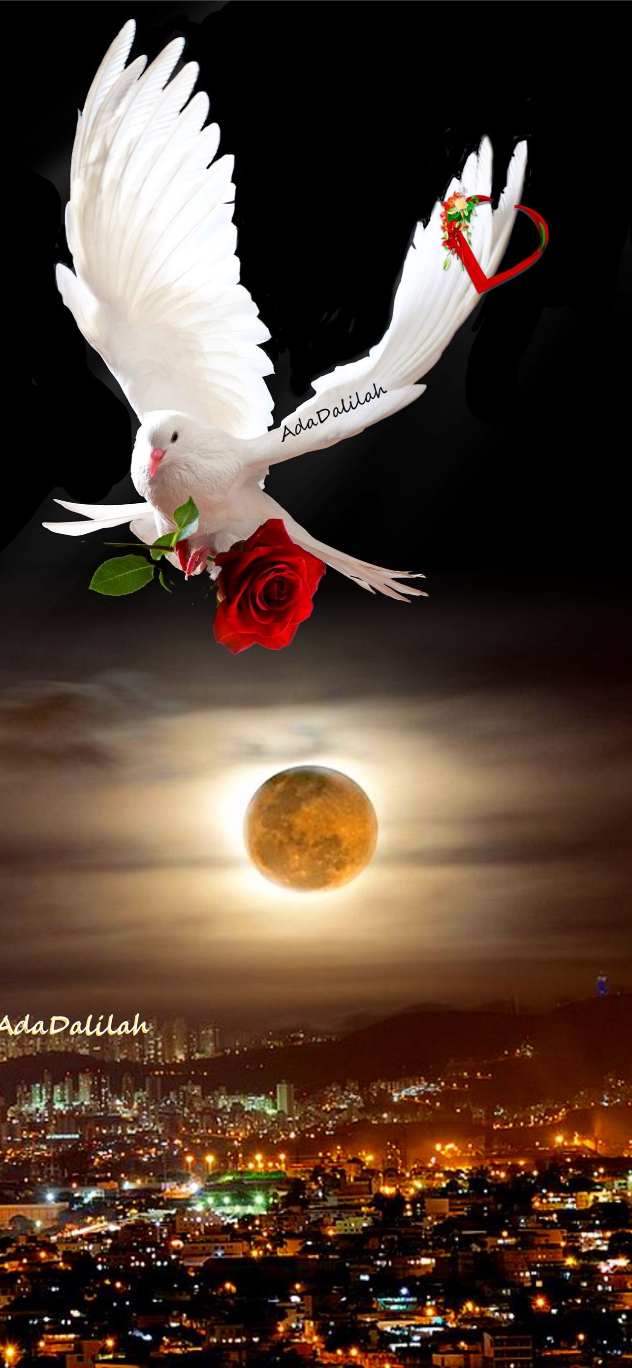 Best Dove iPhone HD Wallpaper