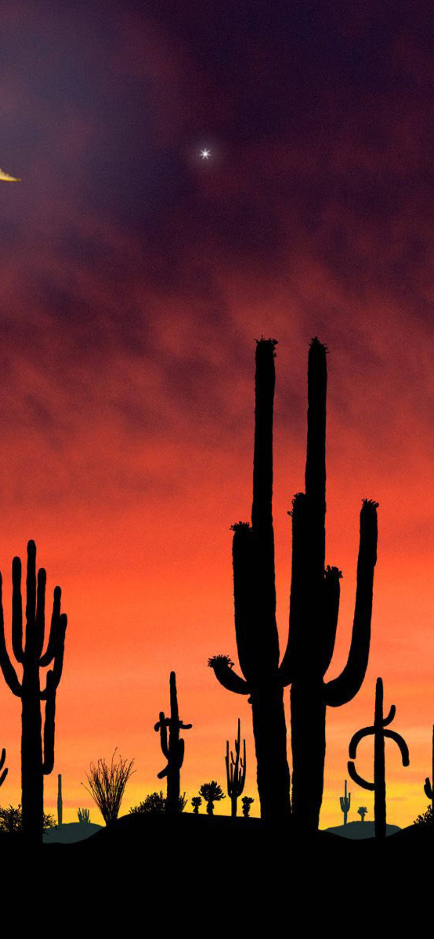 Download Arizona Sunset At Saguaro