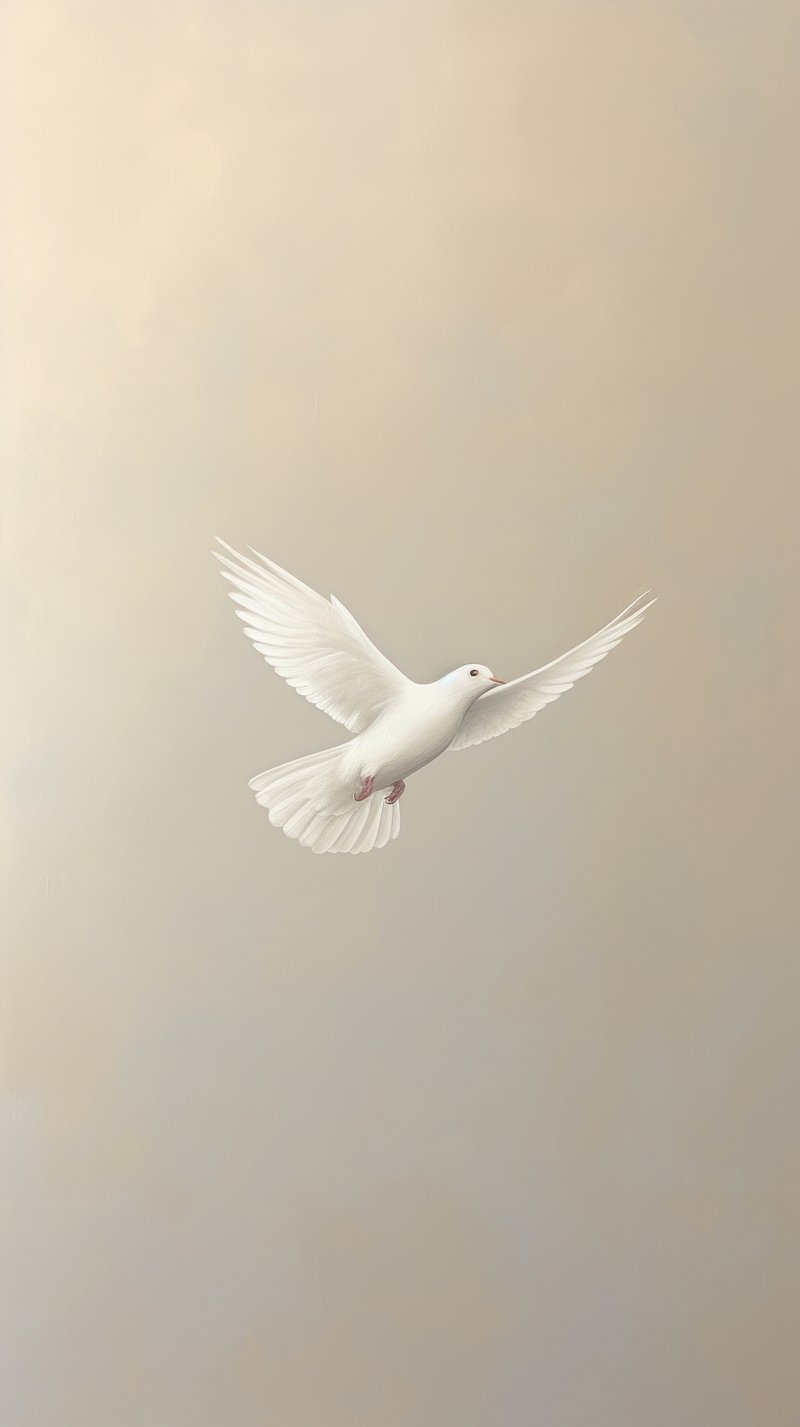 white dove outside window seascape