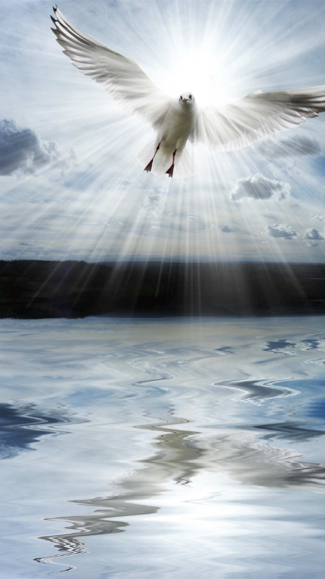 Lake, clouds, dove, sun rays 1242x2688