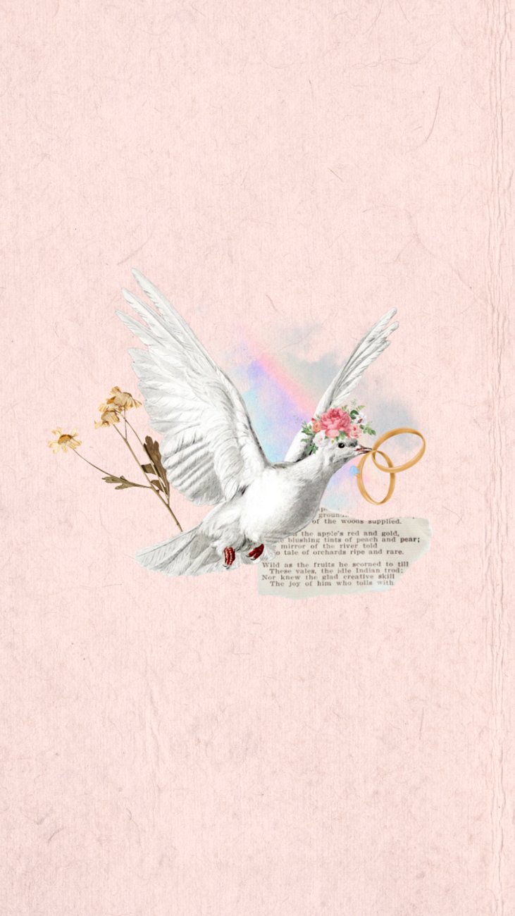 Aesthetic flying dove phone wallpaper