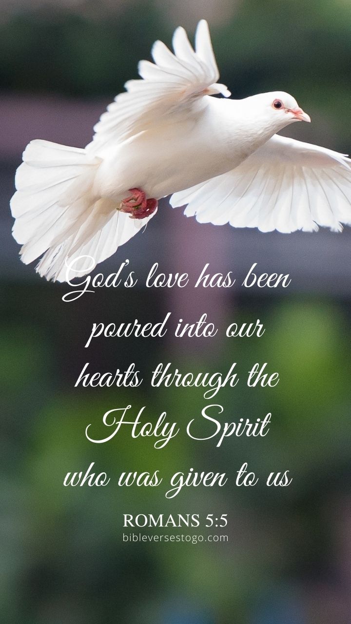 White Dove Romans 5:5