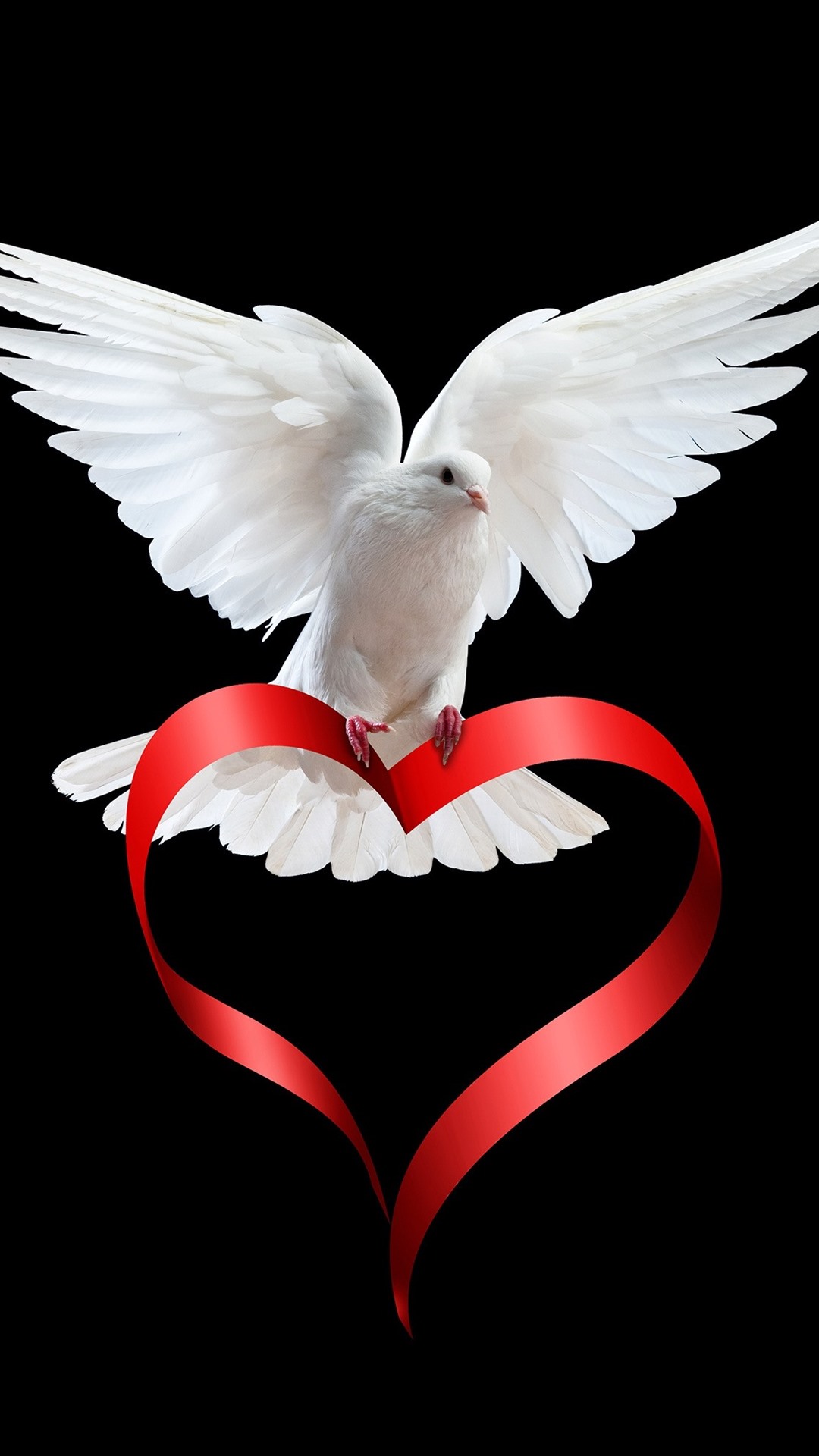 White dove, love heart ribbon, black