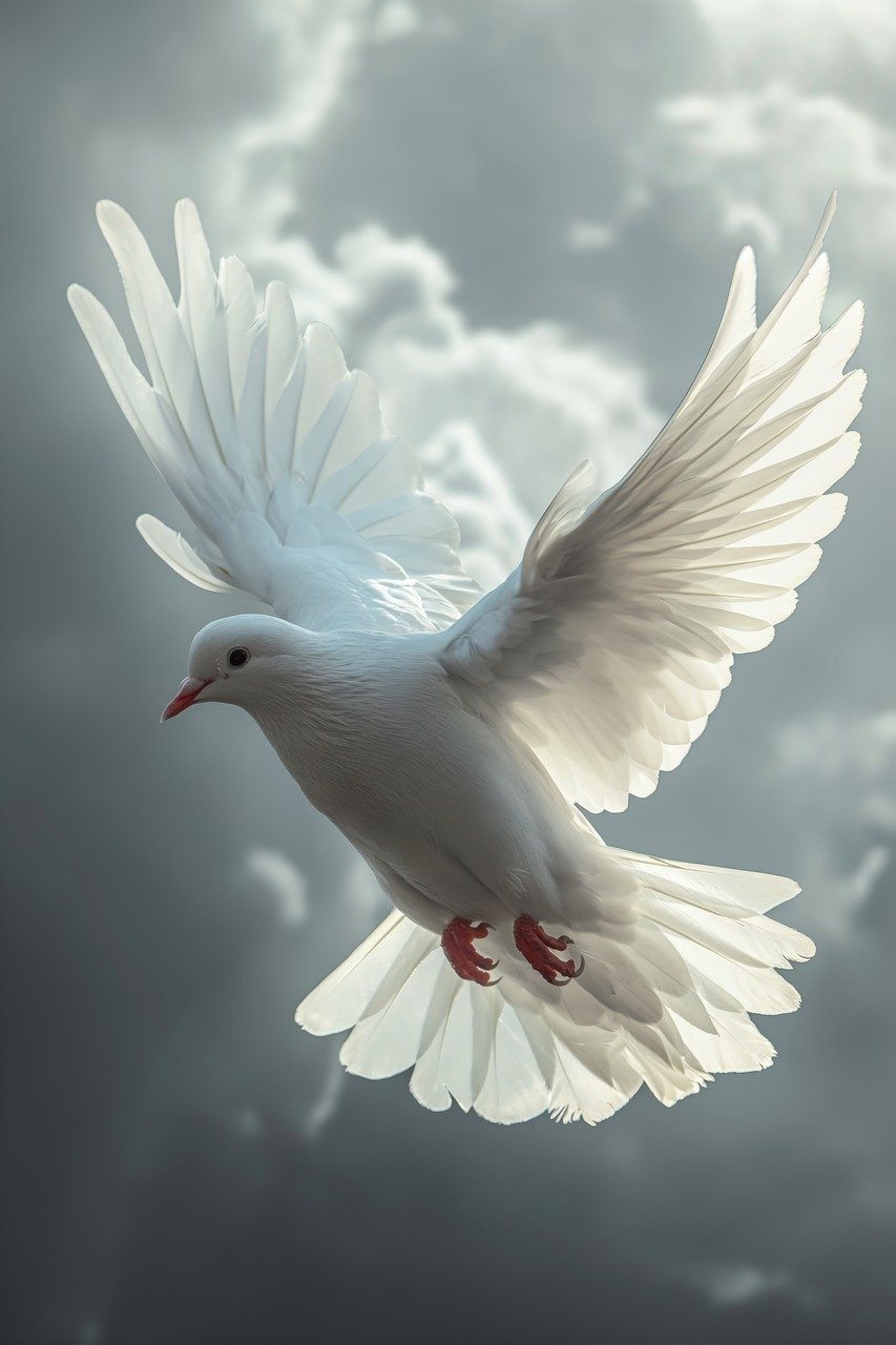 Explore Free Dove Illustrations