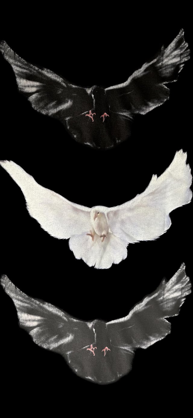 Yeezy Dove wallpaper