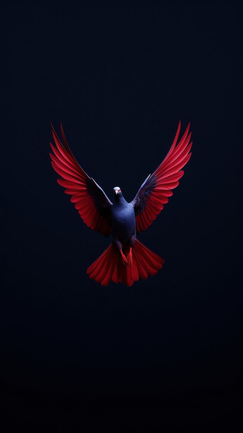 iPhone Wallpaper Dark. Free Aesthetic