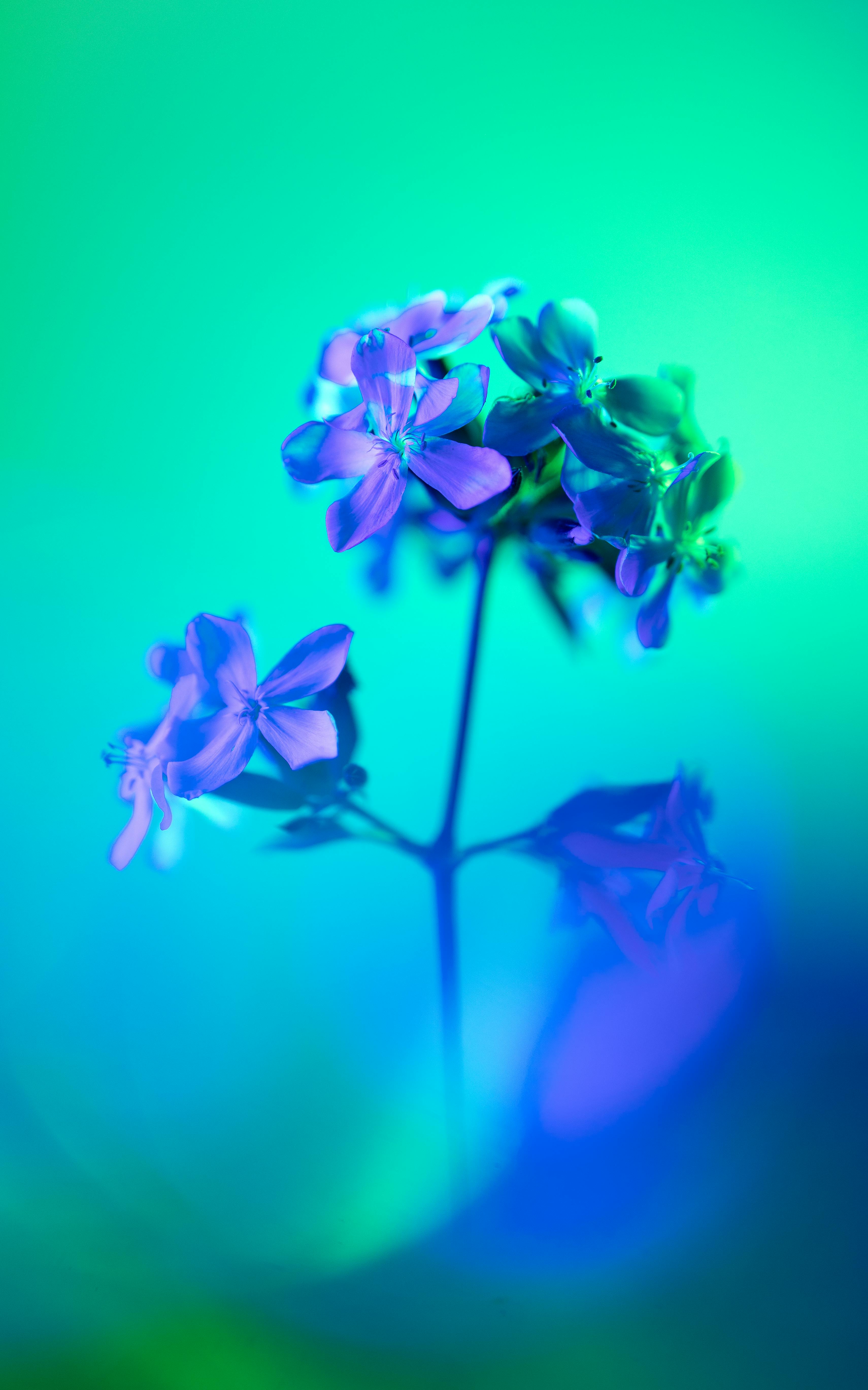 Out Of The Blue Photo, Download The BEST Free Out Of The Blue & HD Image