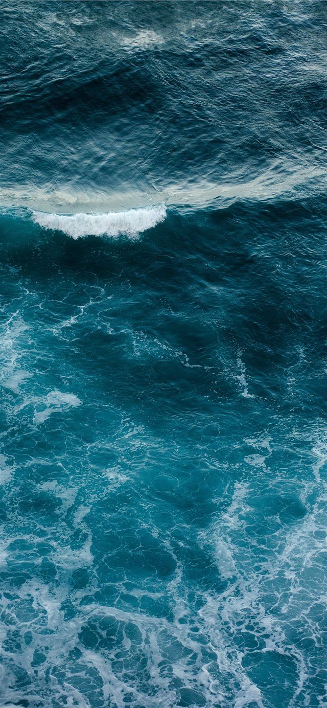 Wild Ocean iPhone X wallpaper