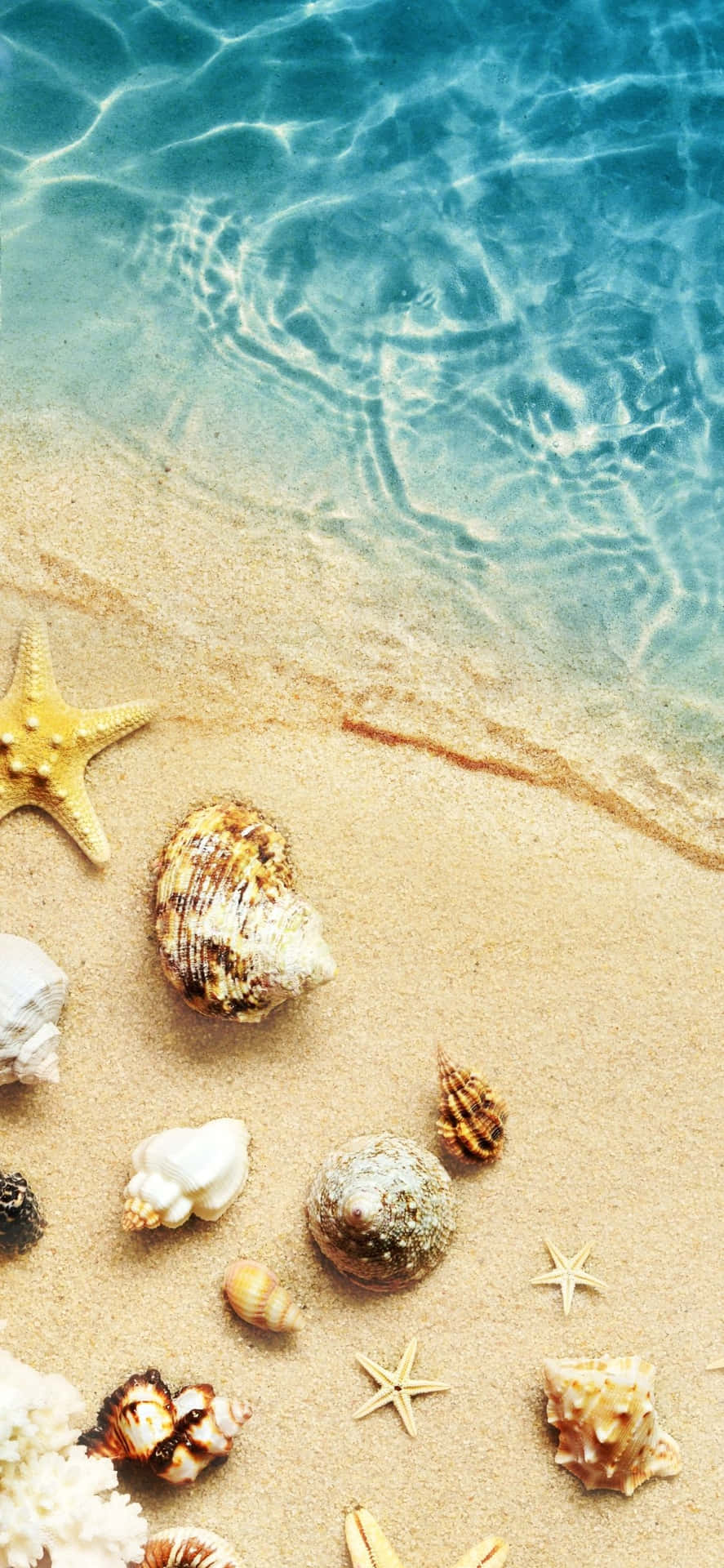 iPhone X Summer Background