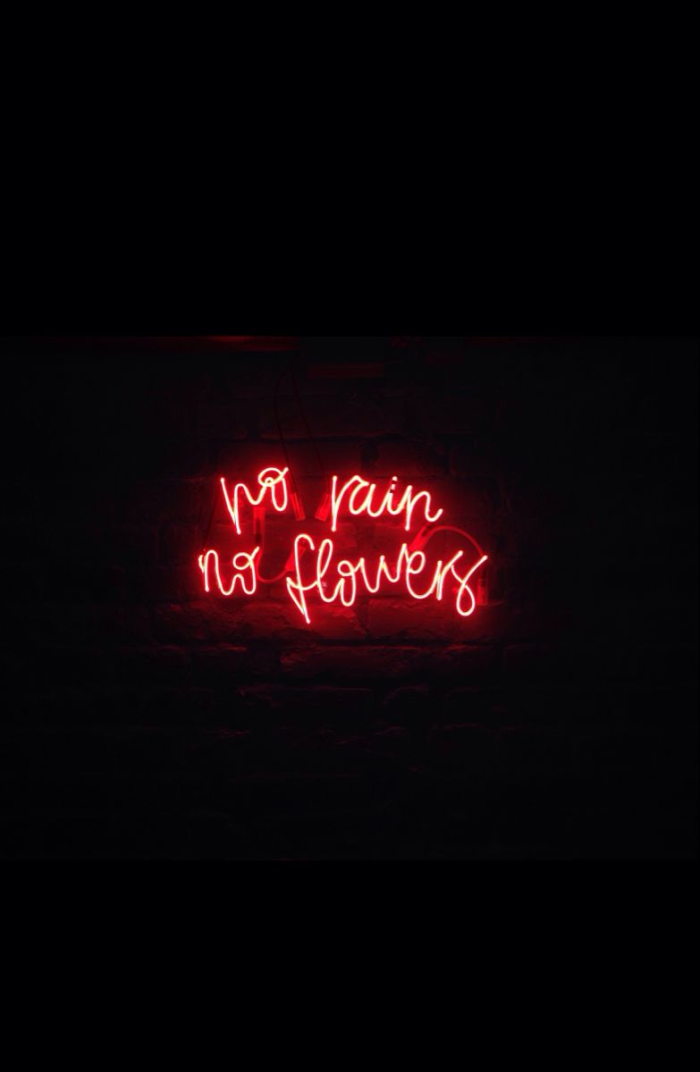 Neon quotes #quotes #wallpaper