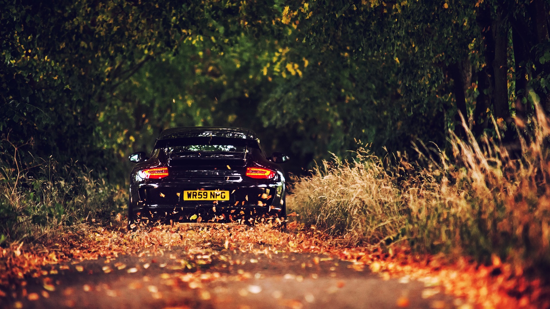 Porsche 911 Autumn Drive HD Wallpaper