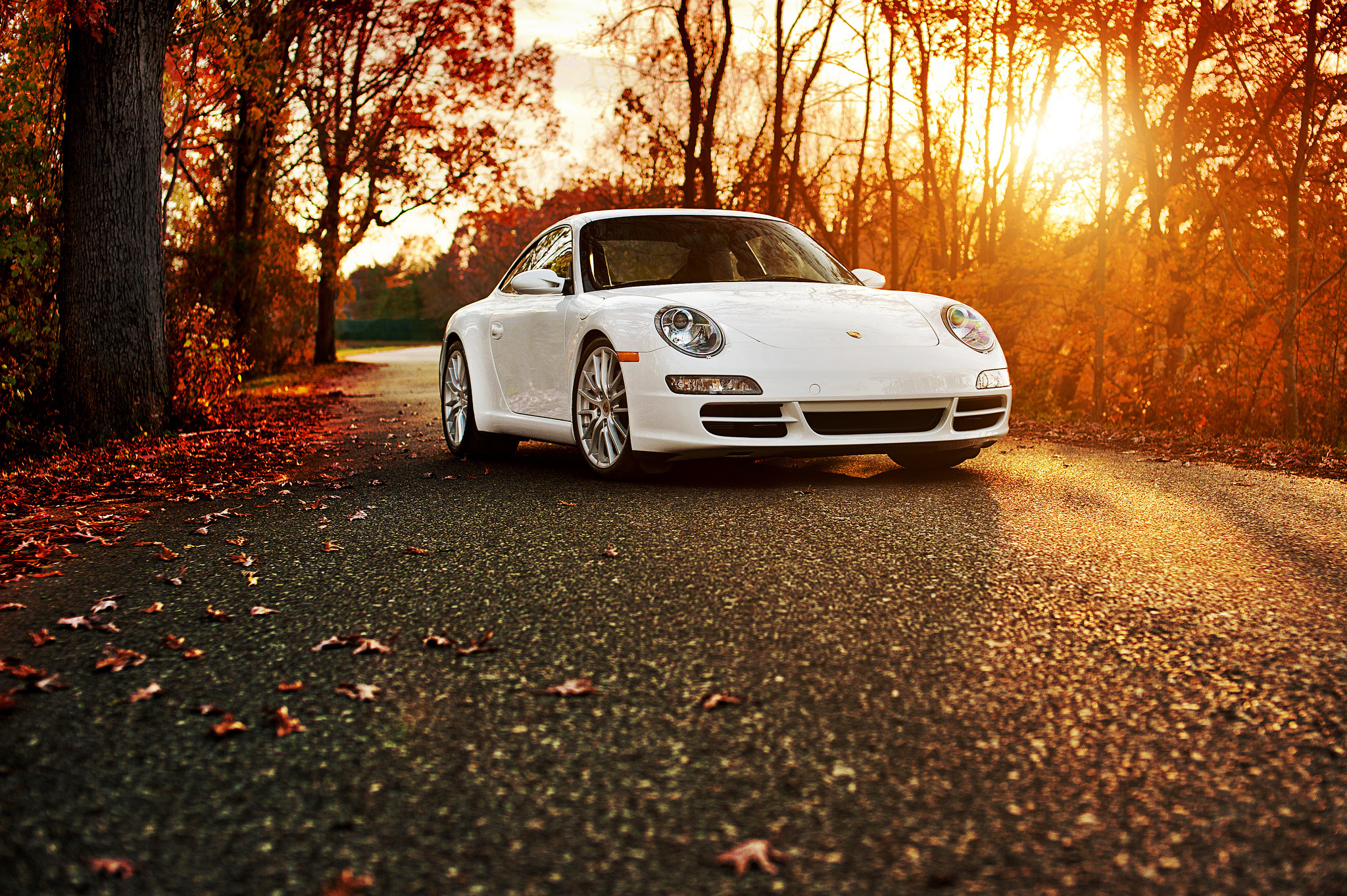 Porsche, cars, white, autumn