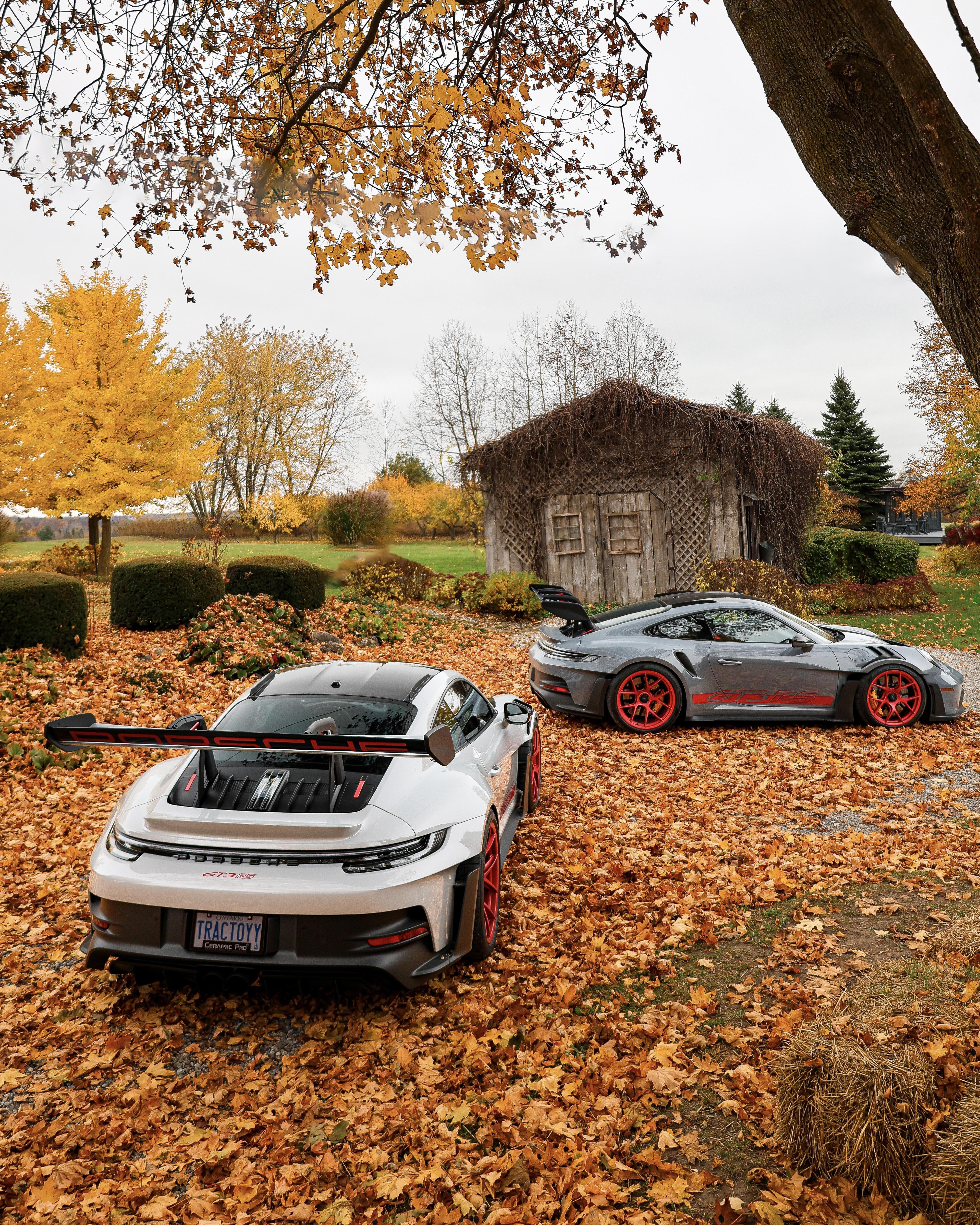 Fall colours and race cars