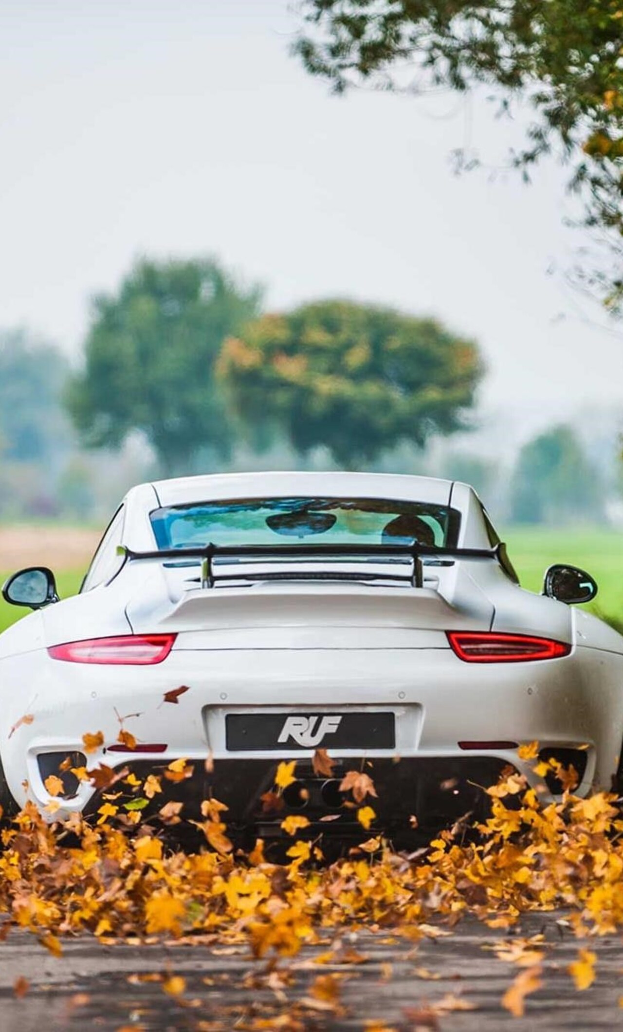 Porsche 911 Autumn iPhone