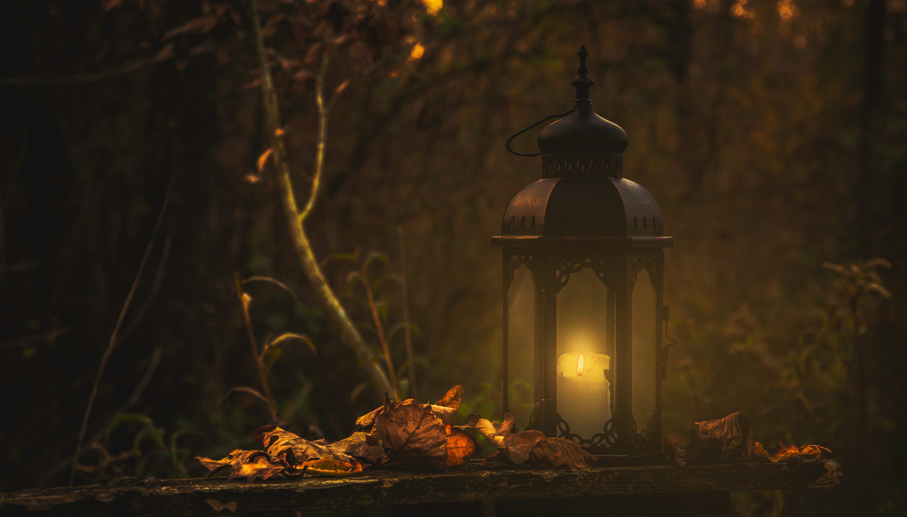 Fall Wallpaper: Free HD Download