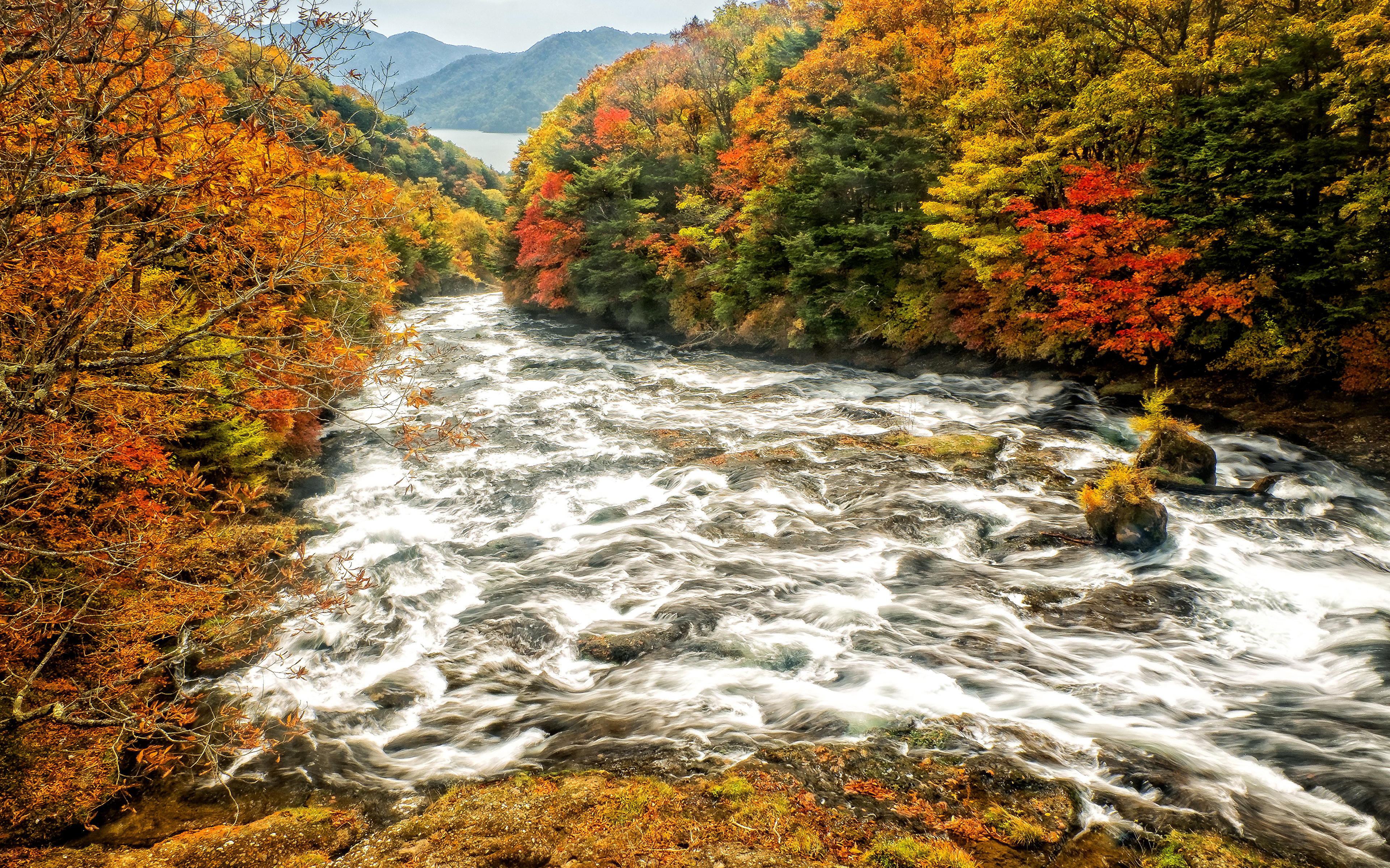 Autumn Nature Rivers Trees 3840x2400