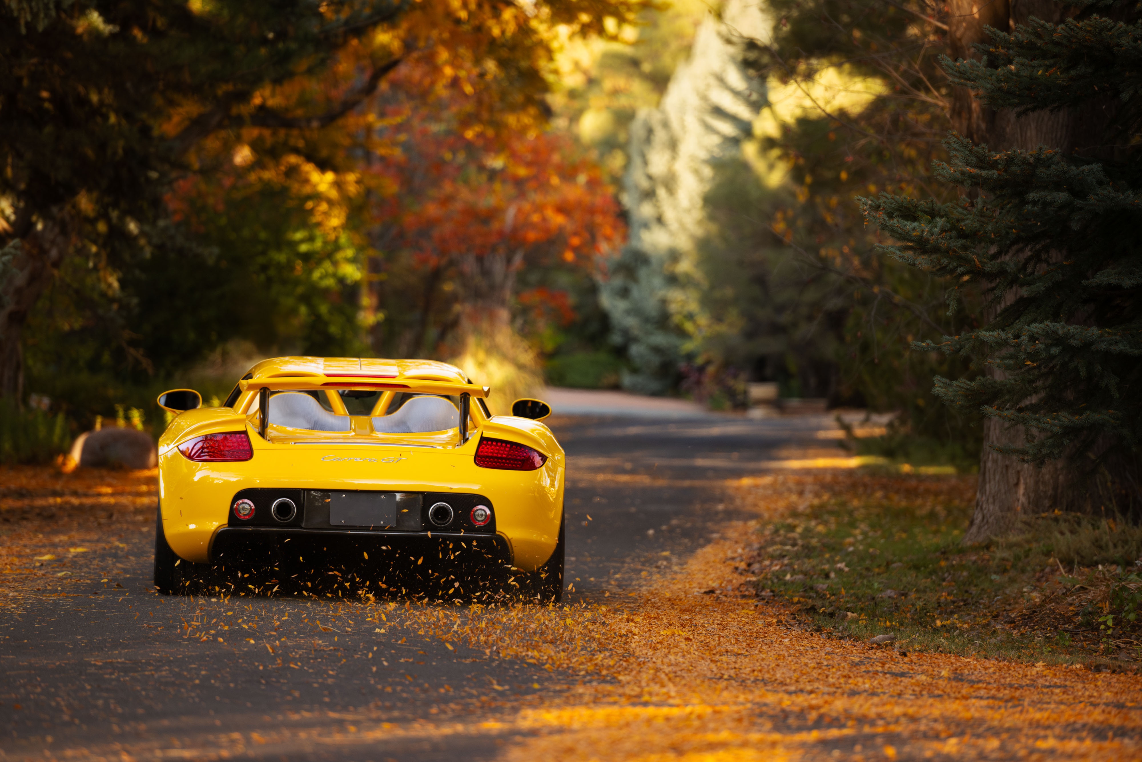 Wallpaper car, Porsche, road, Porsche