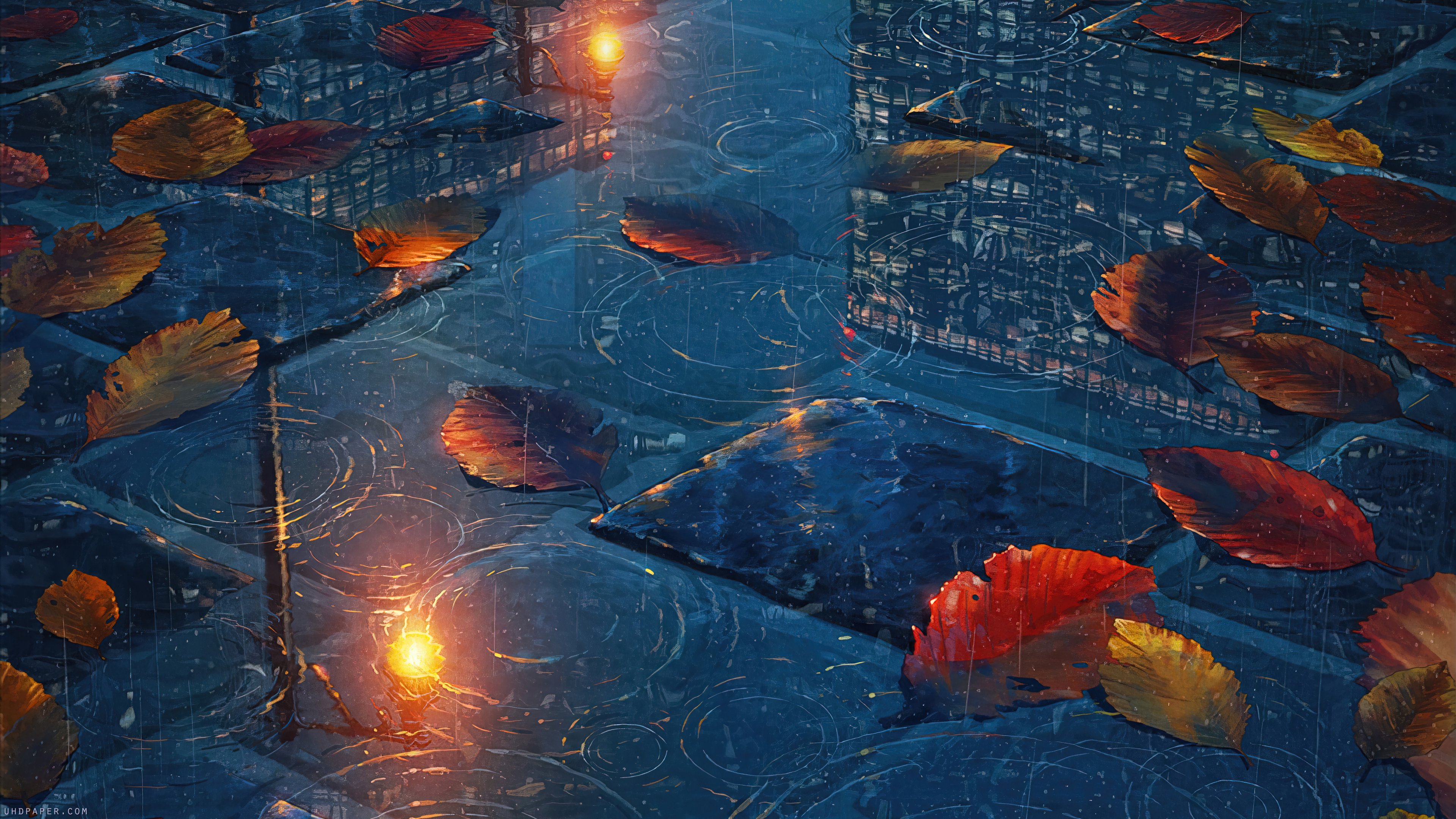 Autumn leaves on water Wallpaper 4k HD