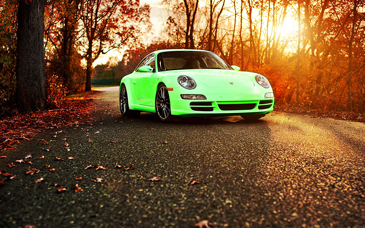 Wallpaper Porsche Leaf Autumn lime