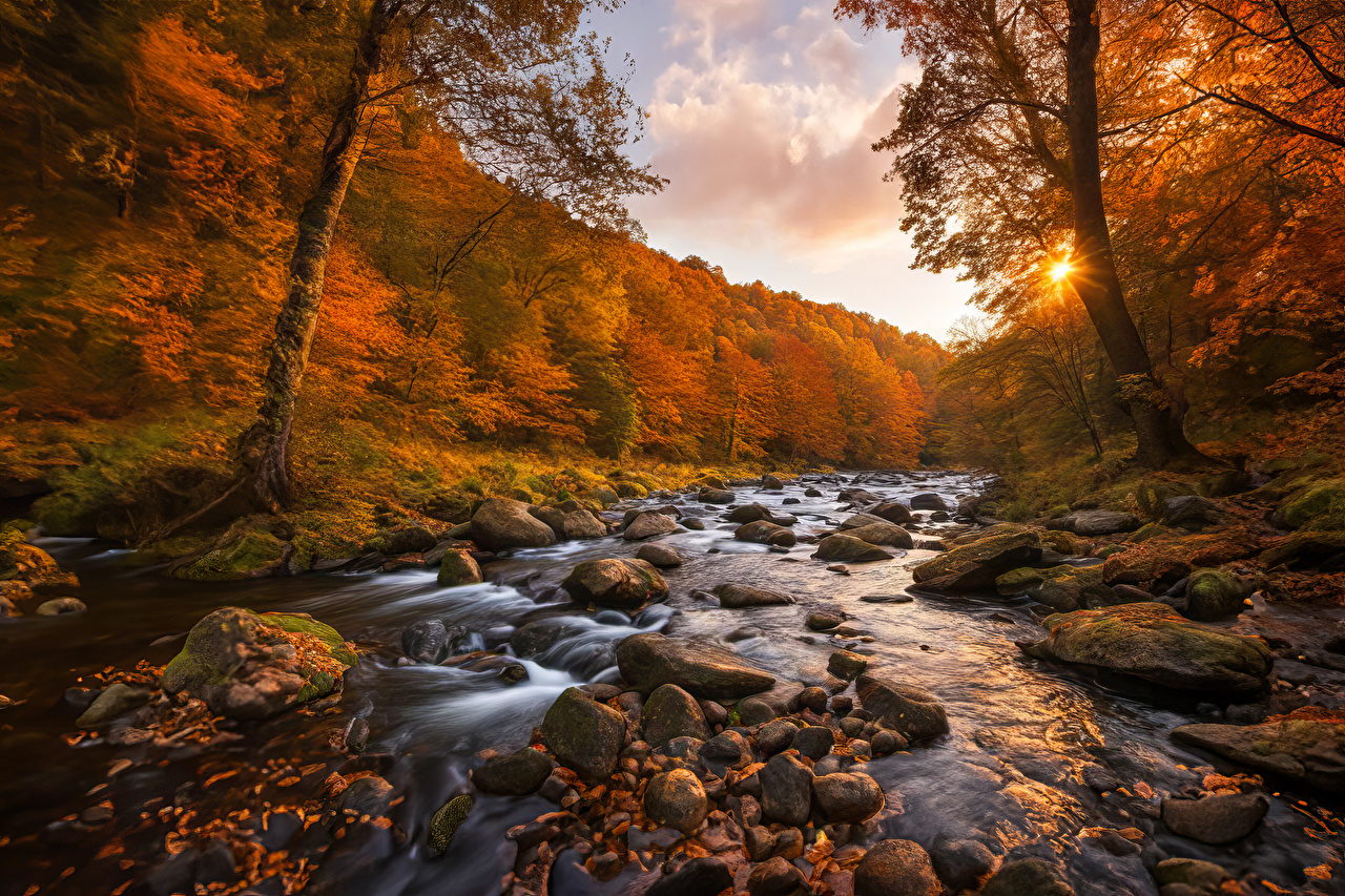 Wallpaper Germany Autumn Nature Rivers