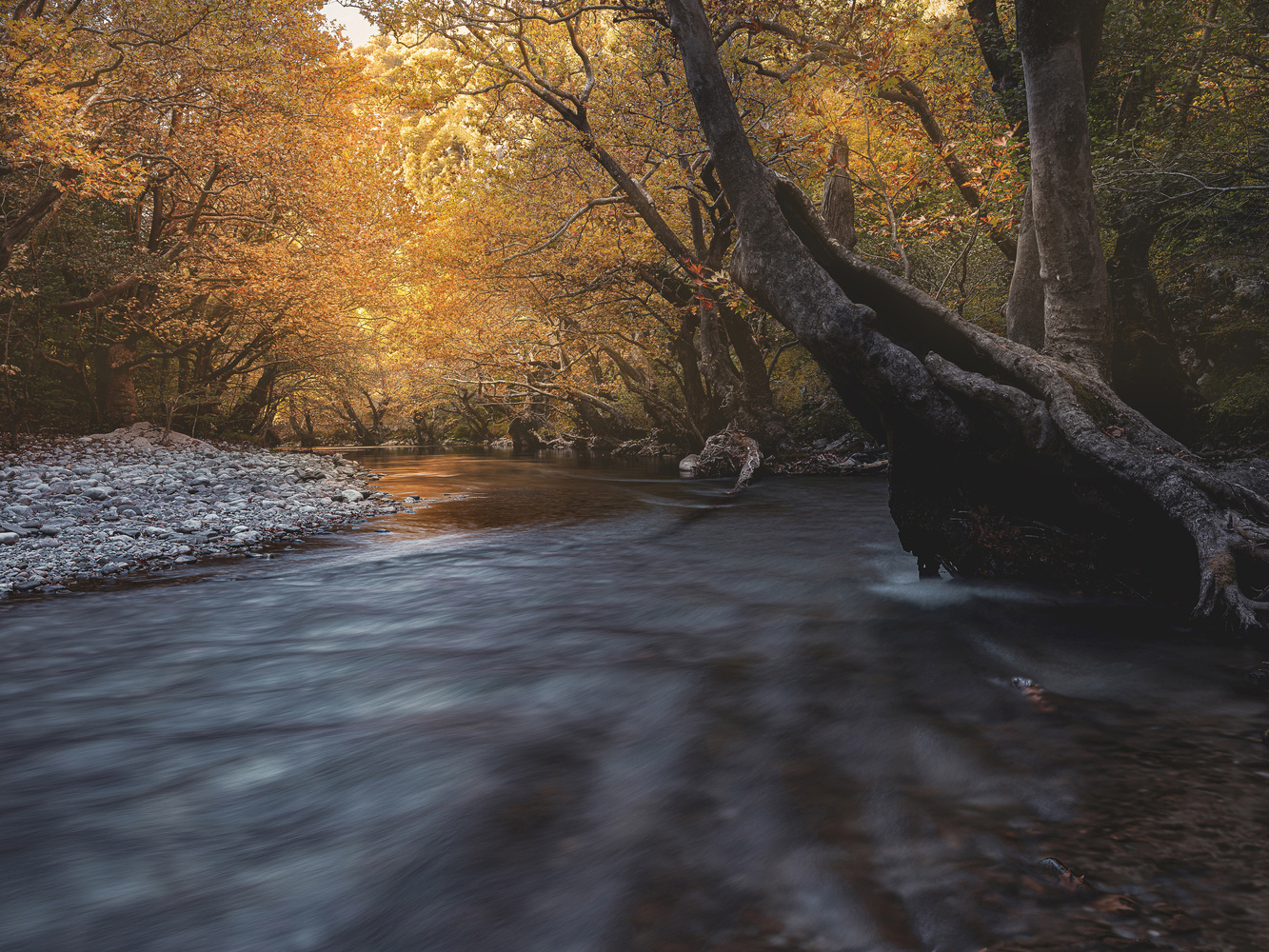 Landscape and Nature Photography