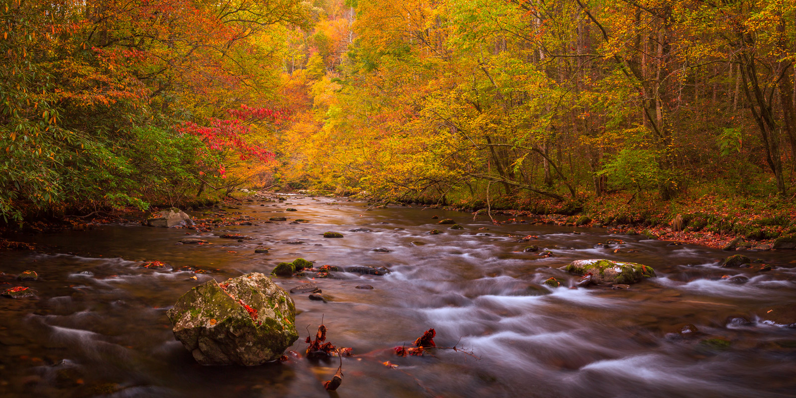 Fall Color over Little River Panoramic