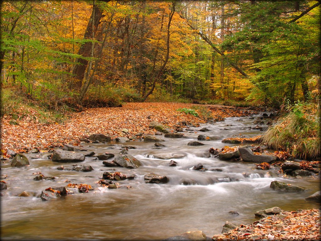 Tranquility is: an autumn brook. Hard
