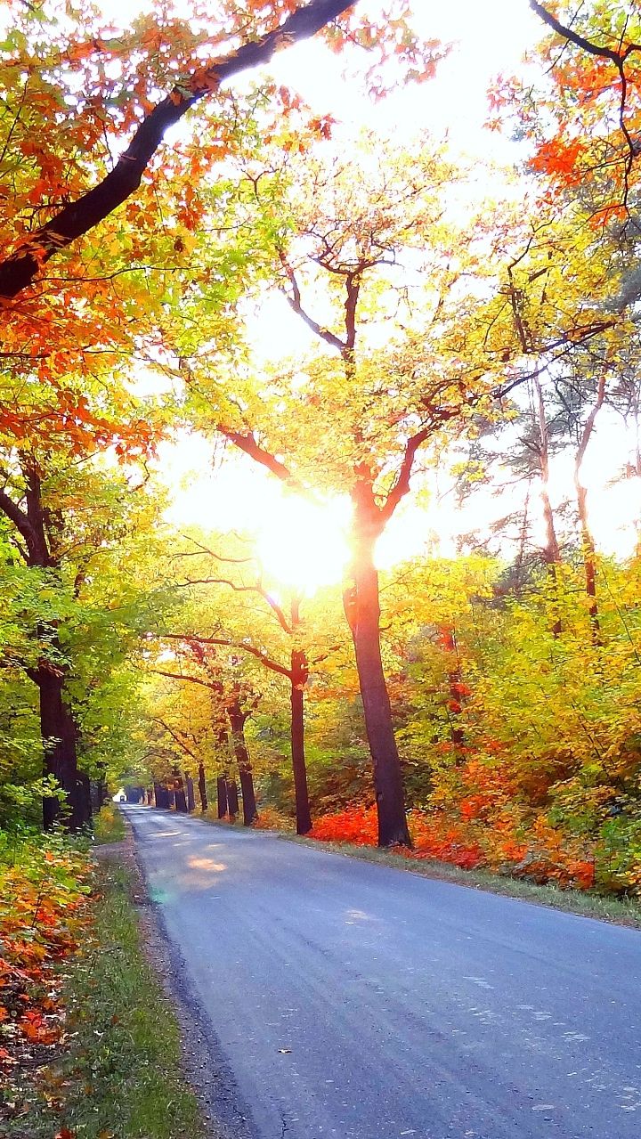 HD & 4K Wallpaper for Apple iPhone