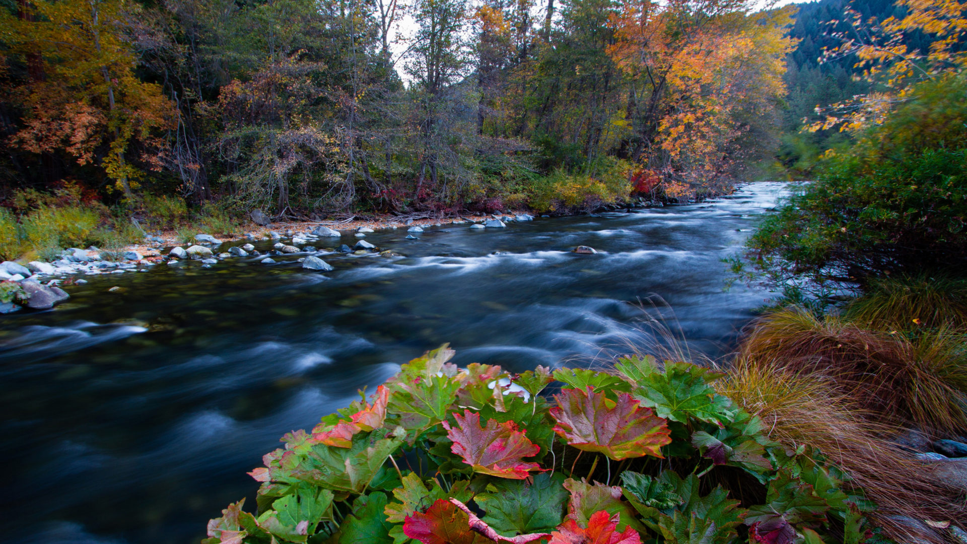 Rivers Forests Autumn Wallpaper HD
