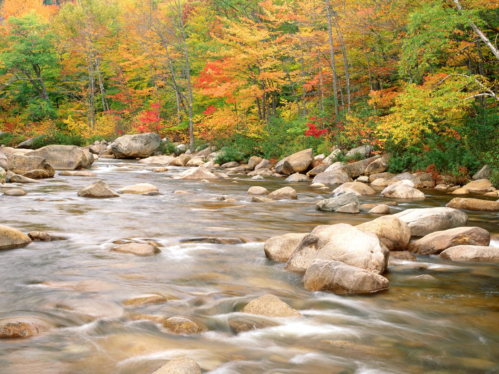 Swift River and Autumn Colors
