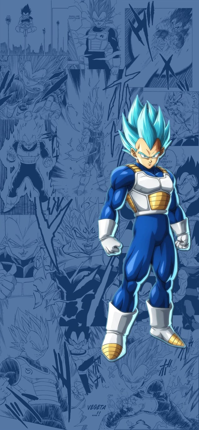 Vegeta wallpaper