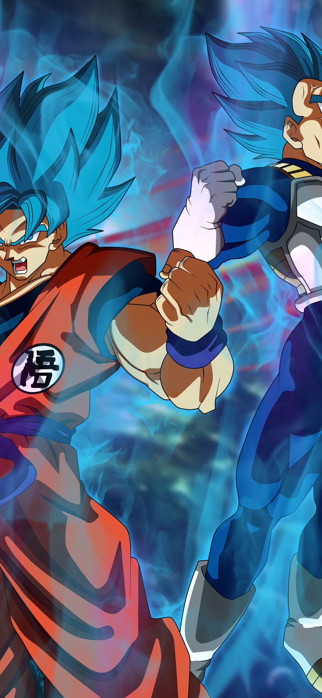 Goku Vegeta Dragon Ball Super