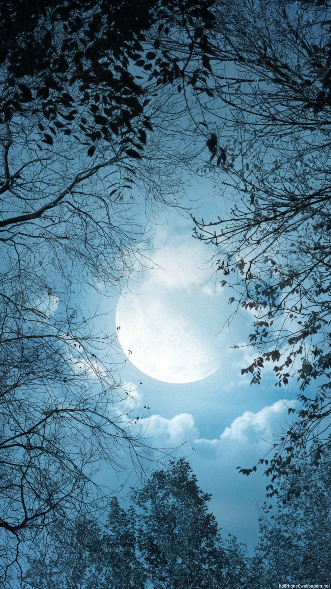 Nature Moon Light Night Download Free
