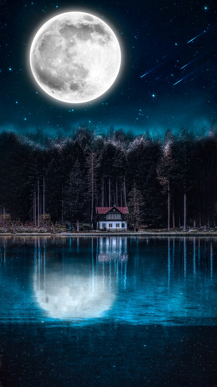 Forest Lake Moon