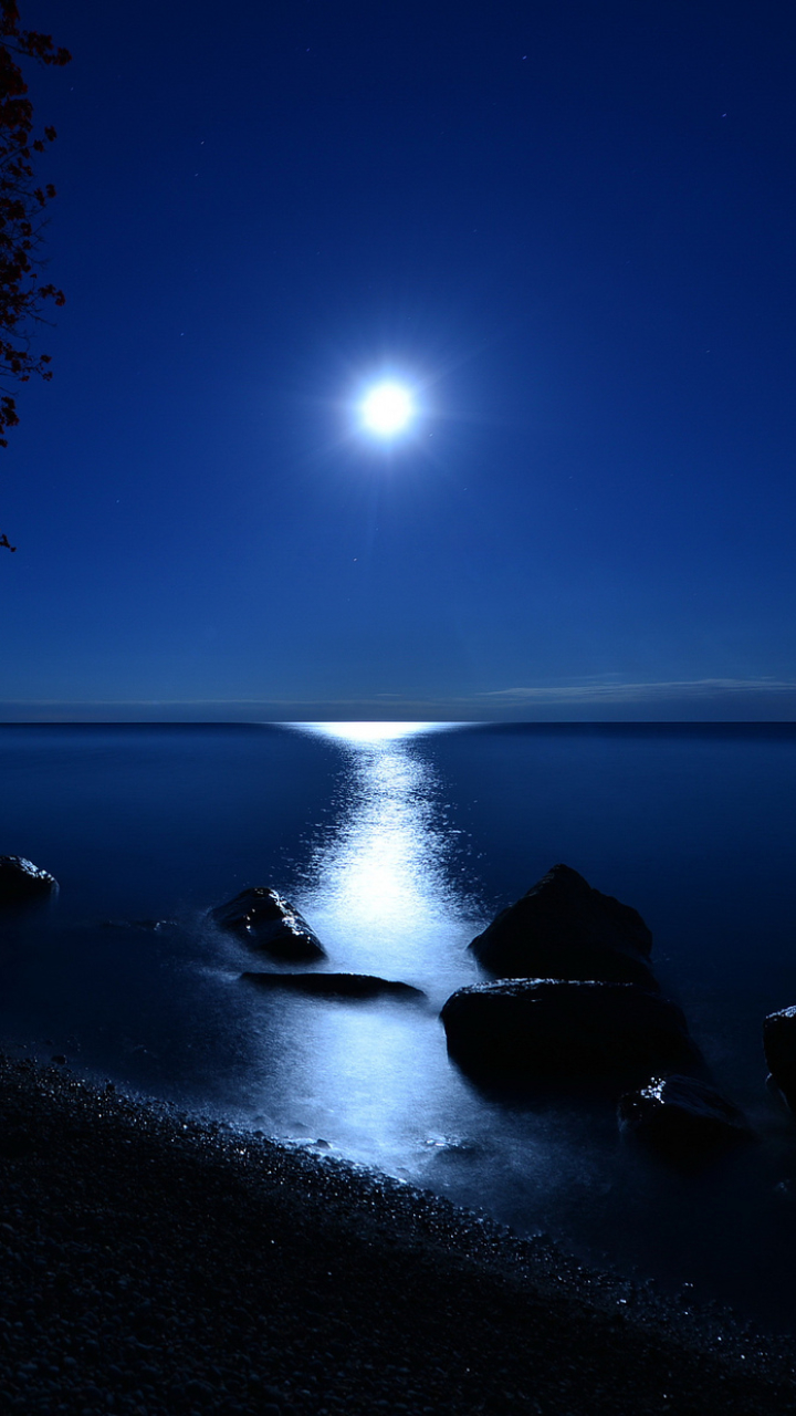 Download Horizon Blue Moonlight Moon