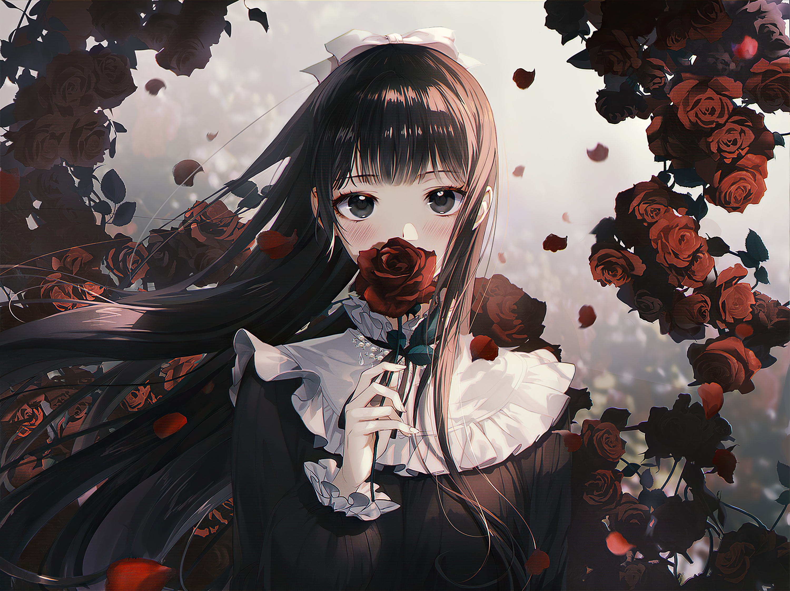 Download Anime Girl Gothic Rose Anime