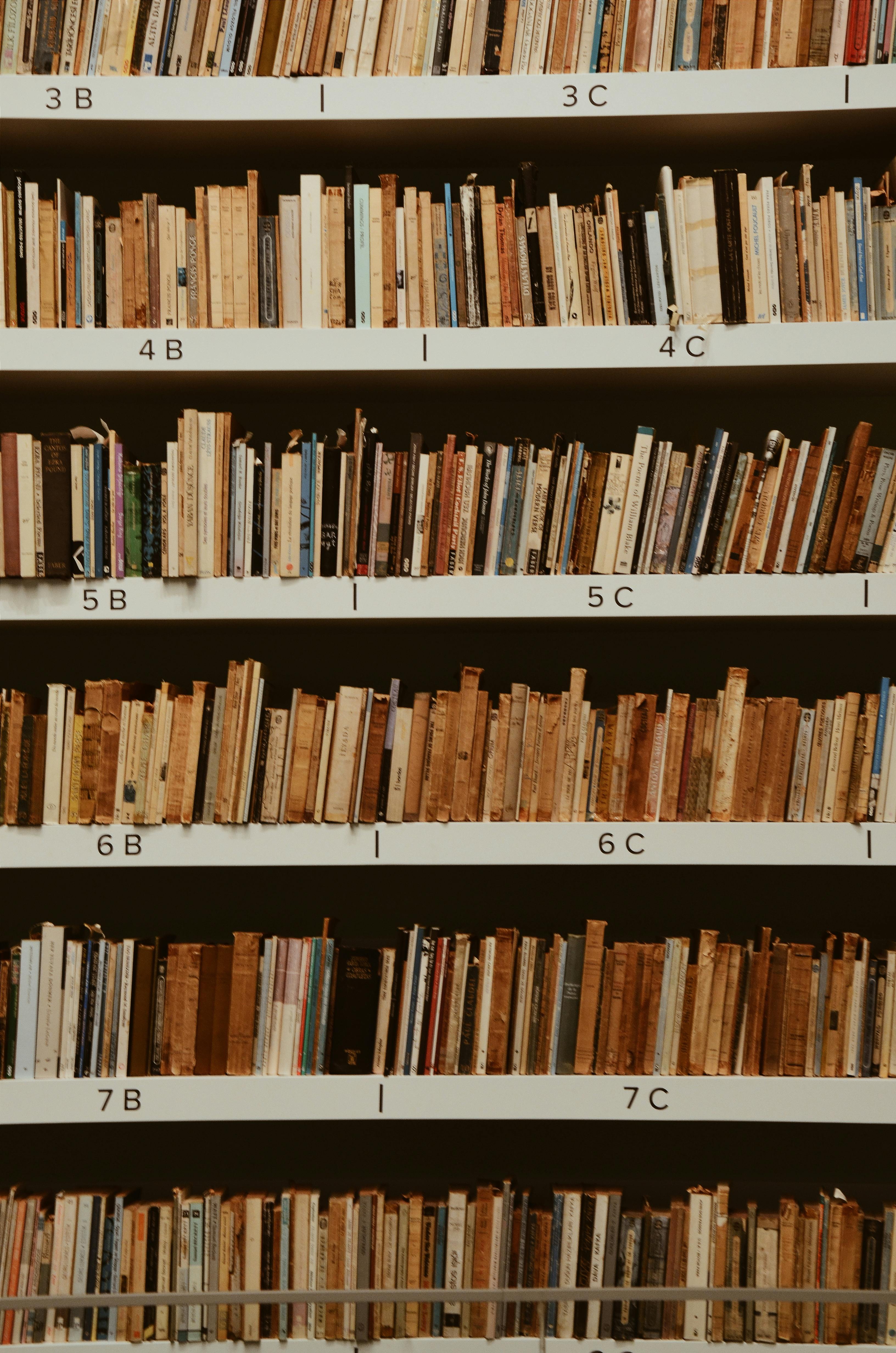 Books File on Book Shelves · Free Stock